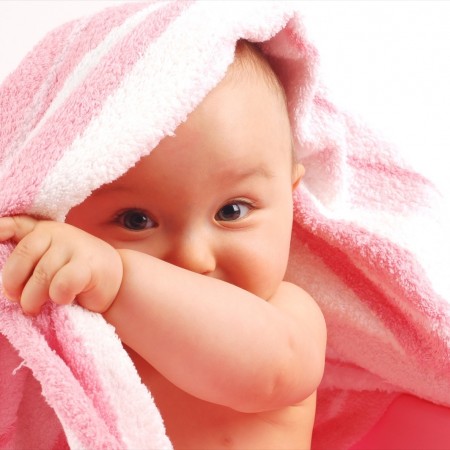 shutterstock_8173813